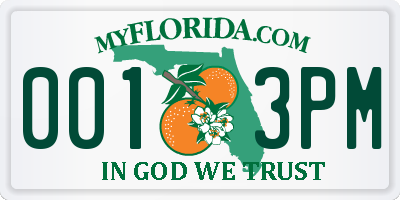 FL license plate 0013PM