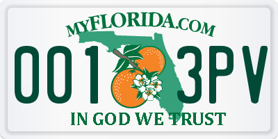 FL license plate 0013PV