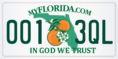 FL license plate 0013QL