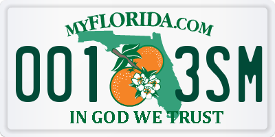 FL license plate 0013SM