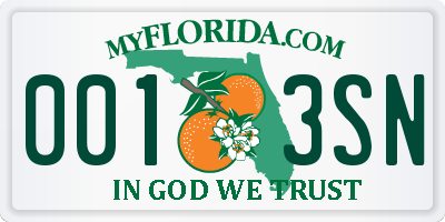 FL license plate 0013SN