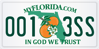 FL license plate 0013SS