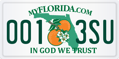 FL license plate 0013SU