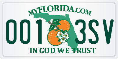 FL license plate 0013SV