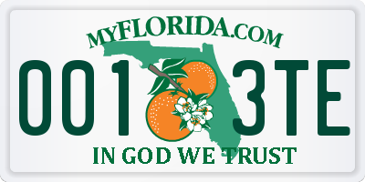 FL license plate 0013TE