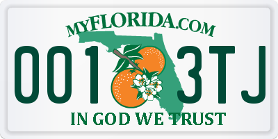 FL license plate 0013TJ