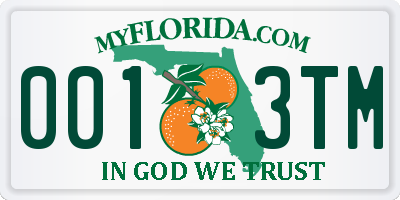 FL license plate 0013TM