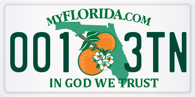 FL license plate 0013TN