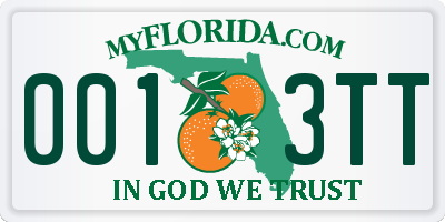 FL license plate 0013TT