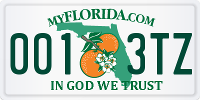 FL license plate 0013TZ