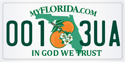 FL license plate 0013UA