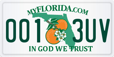 FL license plate 0013UV