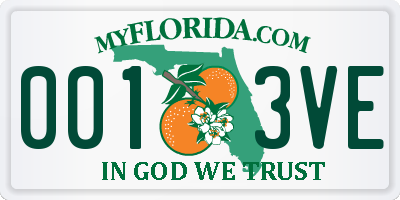 FL license plate 0013VE