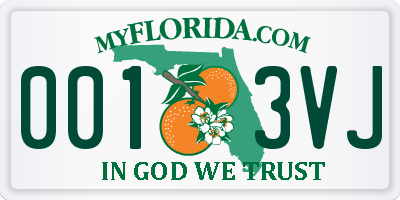 FL license plate 0013VJ