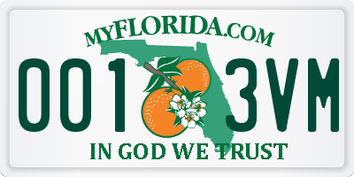 FL license plate 0013VM