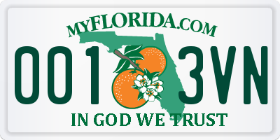 FL license plate 0013VN