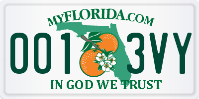 FL license plate 0013VY