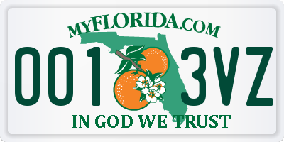 FL license plate 0013VZ