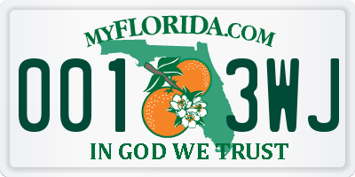 FL license plate 0013WJ