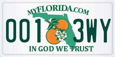 FL license plate 0013WY