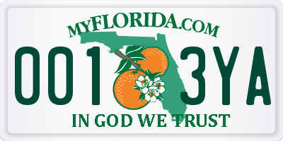 FL license plate 0013YA