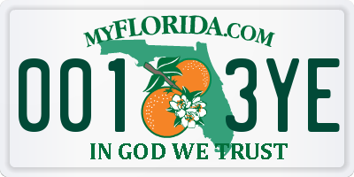 FL license plate 0013YE