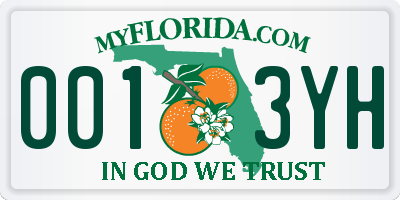 FL license plate 0013YH