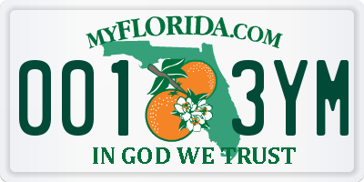 FL license plate 0013YM