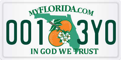 FL license plate 0013YO