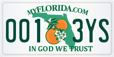 FL license plate 0013YS