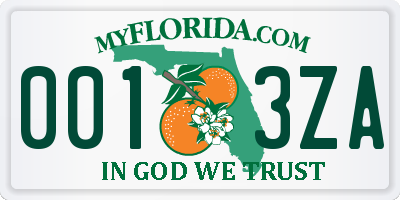 FL license plate 0013ZA