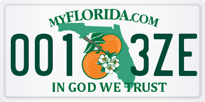 FL license plate 0013ZE