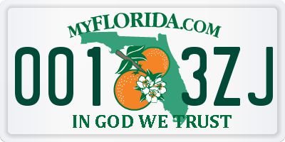 FL license plate 0013ZJ