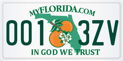 FL license plate 0013ZV