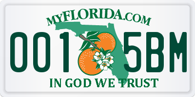 FL license plate 0015BM