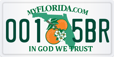 FL license plate 0015BR