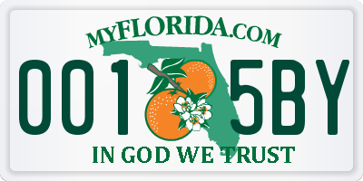 FL license plate 0015BY