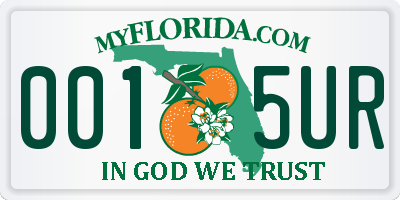 FL license plate 0015UR