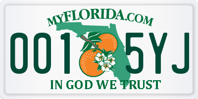 FL license plate 0015YJ