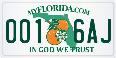 FL license plate 0016AJ
