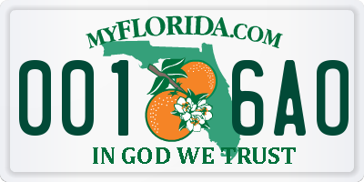 FL license plate 0016AO