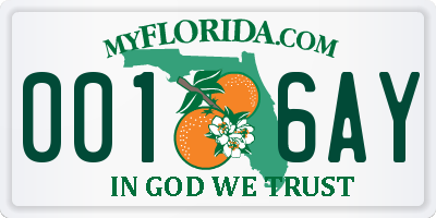 FL license plate 0016AY