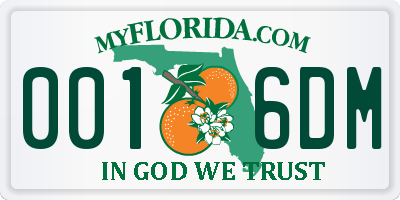 FL license plate 0016DM