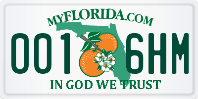 FL license plate 0016HM