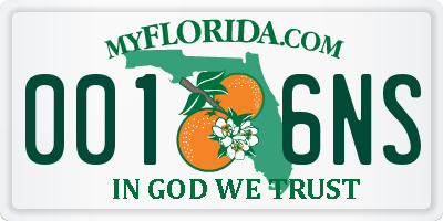 FL license plate 0016NS