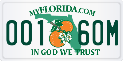 FL license plate 0016OM