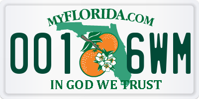 FL license plate 0016WM