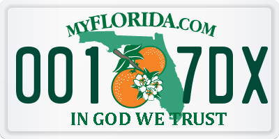 FL license plate 0017DX