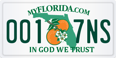 FL license plate 0017NS