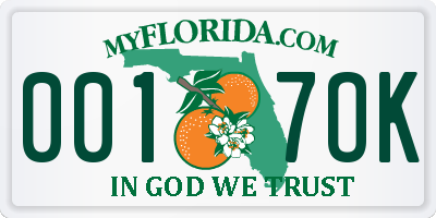 FL license plate 0017OK